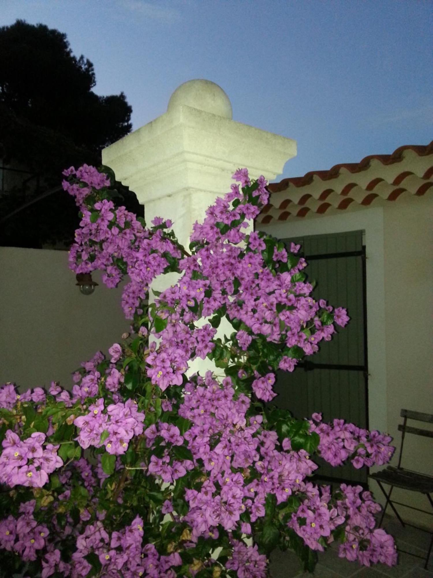 Gite Le Felibre Châteauneuf-lès-Martigues Quarto foto